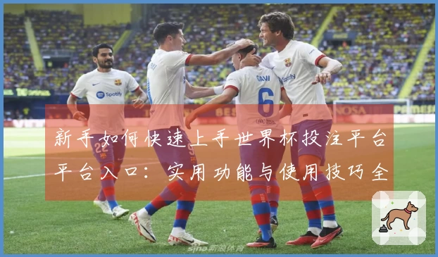 新手如何快速上手世界杯投注平台平台入口：实用功能与使用技巧全解析