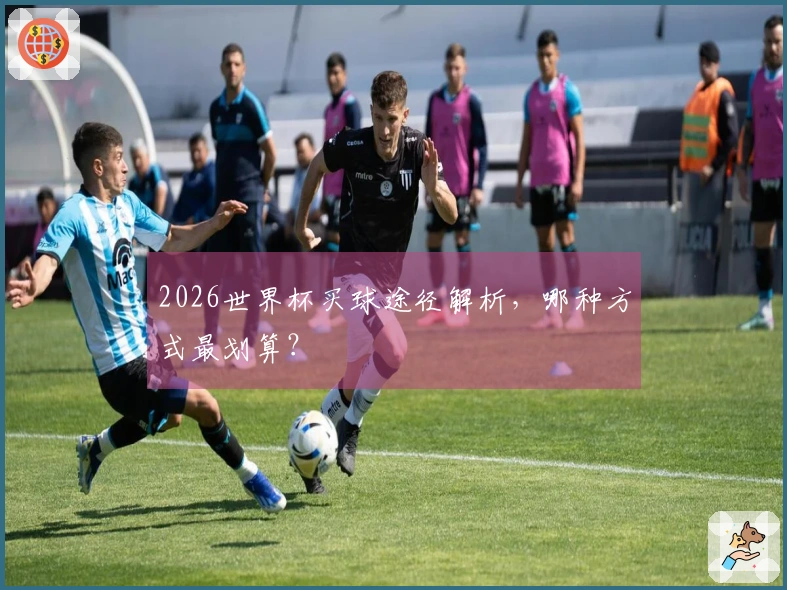 2026世界杯买球途径解析，哪种方式最划算？