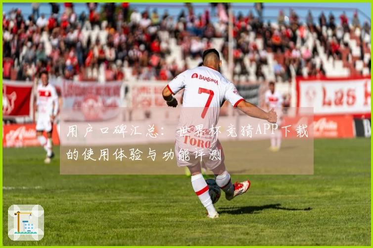用户口碑汇总：世界杯竞猜APP下载的使用体验与功能评测