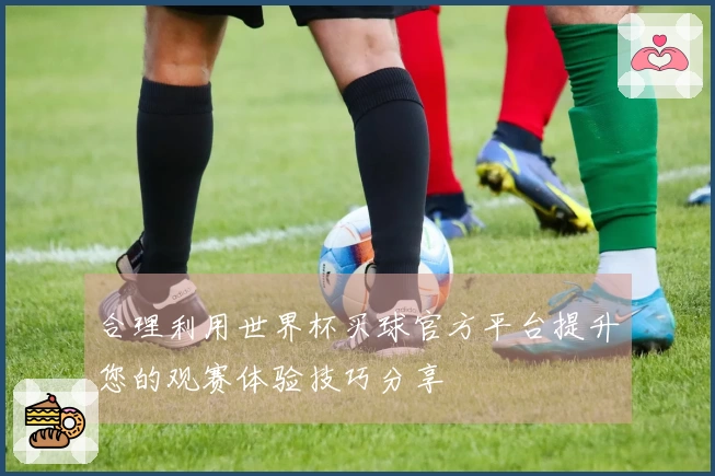 合理利用世界杯买球官方平台提升您的观赛体验技巧分享