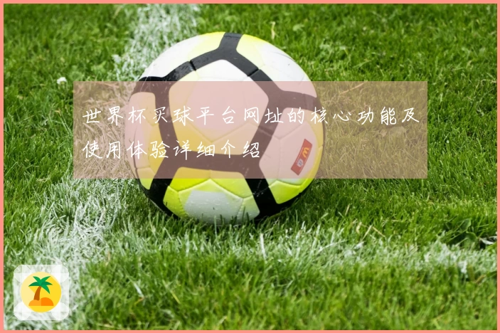 世界杯买球平台网址的核心功能及使用体验详细介绍