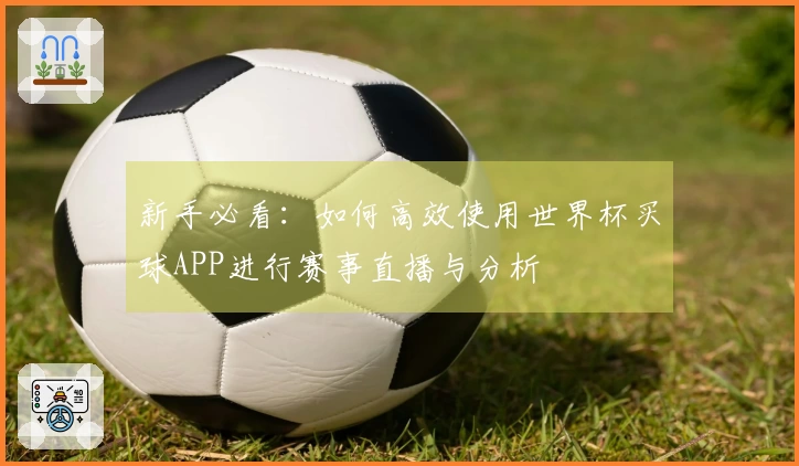 新手必看：如何高效使用世界杯买球APP进行赛事直播与分析