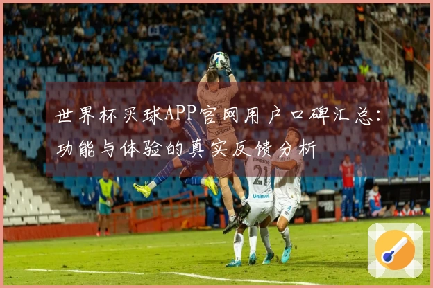世界杯买球APP官网用户口碑汇总：功能与体验的真实反馈分析