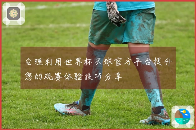 合理利用世界杯买球官方平台提升您的观赛体验技巧分享