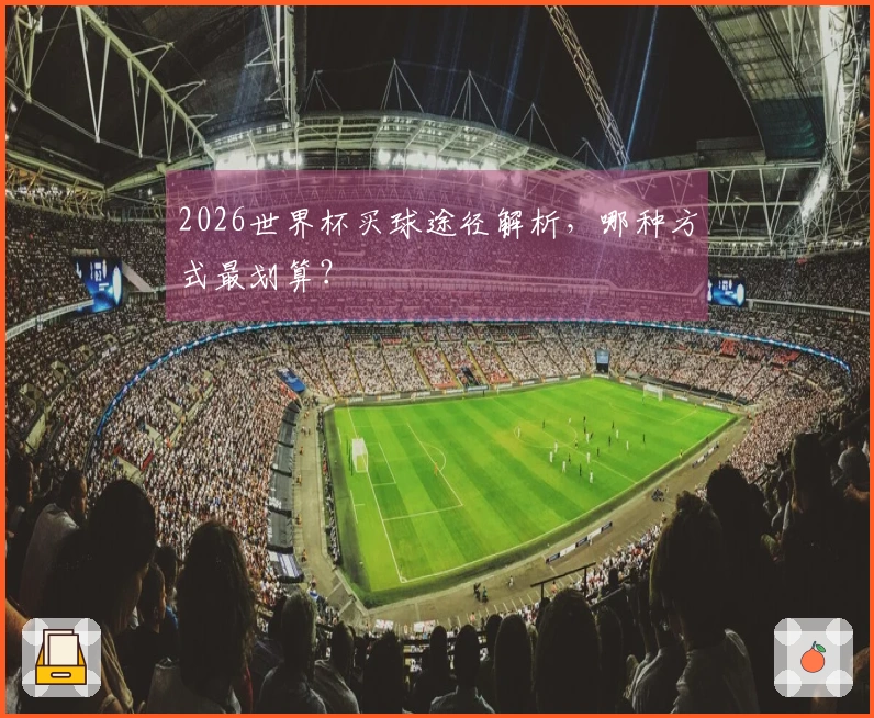 2026世界杯买球途径解析，哪种方式最划算？
