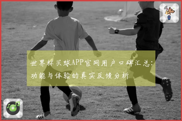 世界杯买球APP官网用户口碑汇总:功能与体验的真实反馈分析